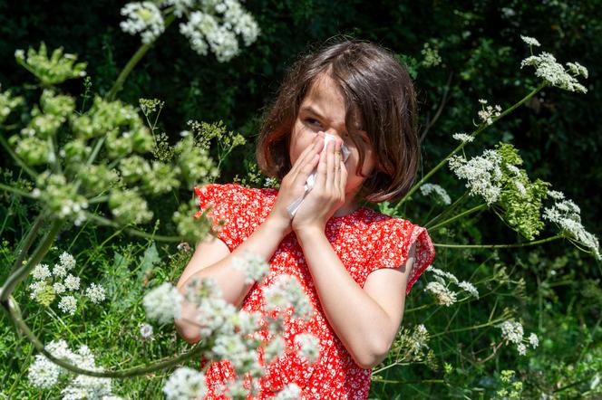 Réchauffement climatique et allergies liées aux pollens de graminées