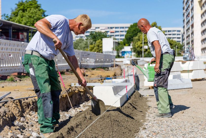 L&rsquo;impact des vagues de chaleur en Allemagne