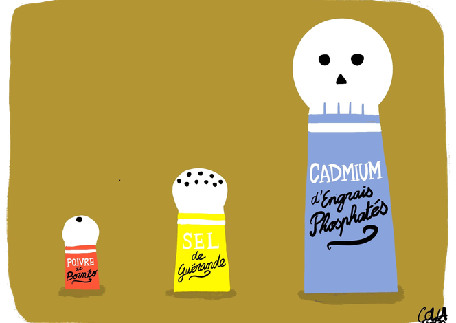 Le danger du cadmium dans l&rsquo;alimentation