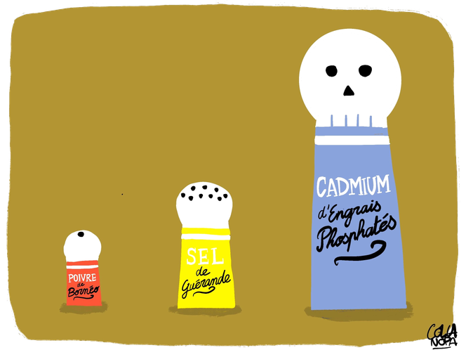 Le danger du cadmium dans l&rsquo;alimentation