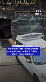 Des malfrats improvisent une voiture-bélier avec un tronc d&rsquo;arbre
