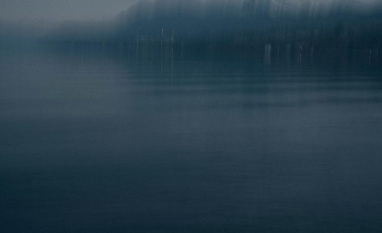 Réchauffement du Lac Léman et impact sur la biodiversité