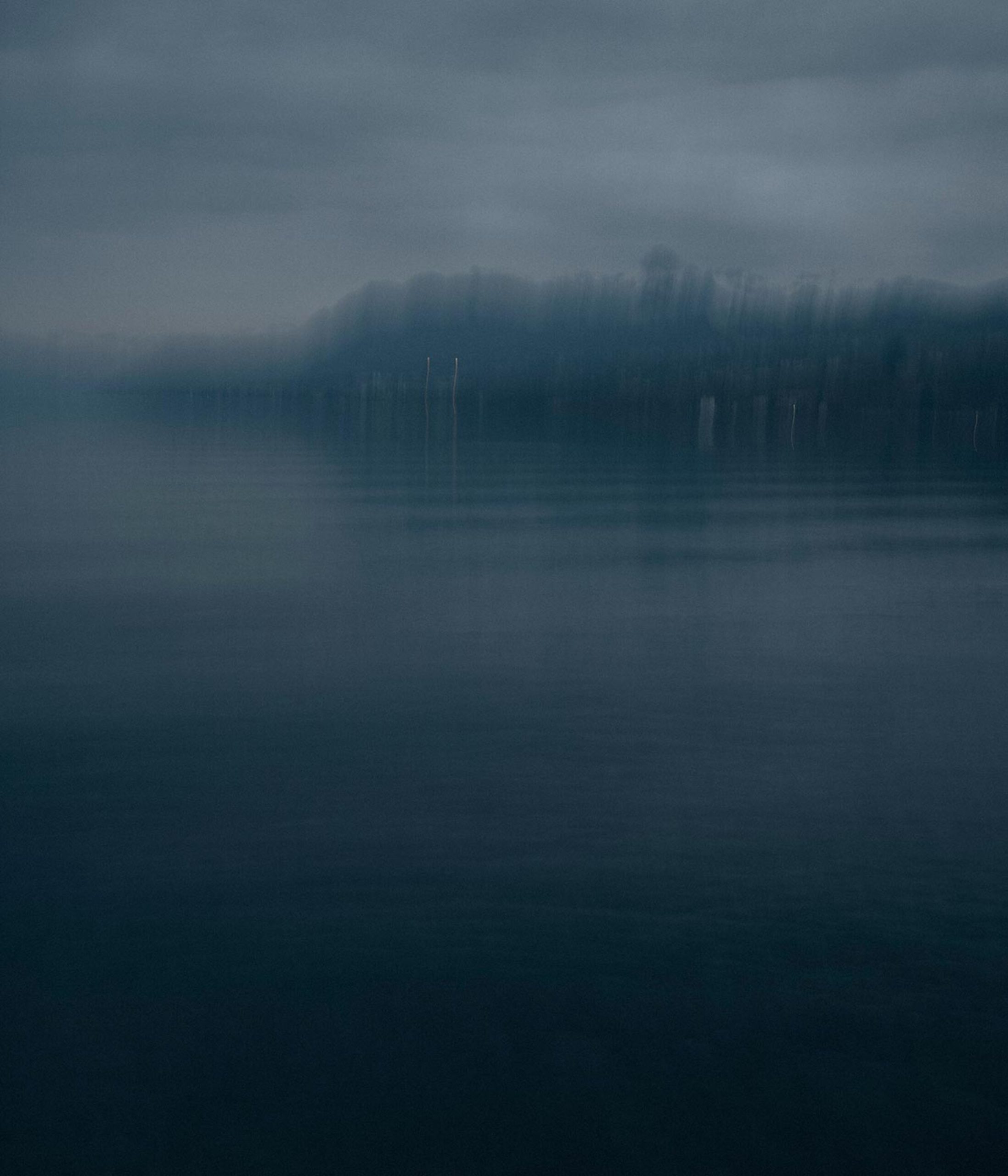 Réchauffement du Lac Léman et impact sur la biodiversité