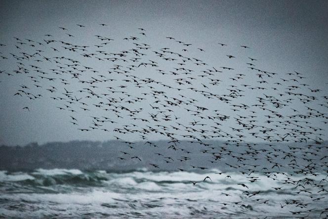 Les efforts de la France pour la protection des océans