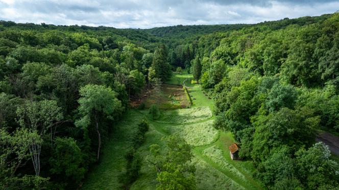 Les Sources de la Seine : Un Trésor Archéologique