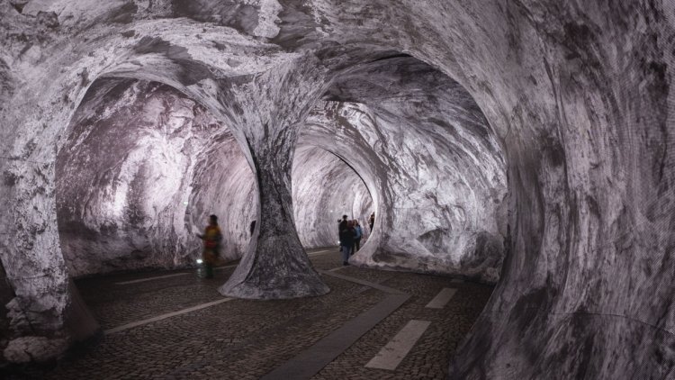 Une expérience artistique au Pont-Neuf