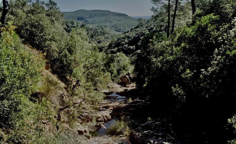 Les combats contre les pollutions invisibles dans les Cévennes