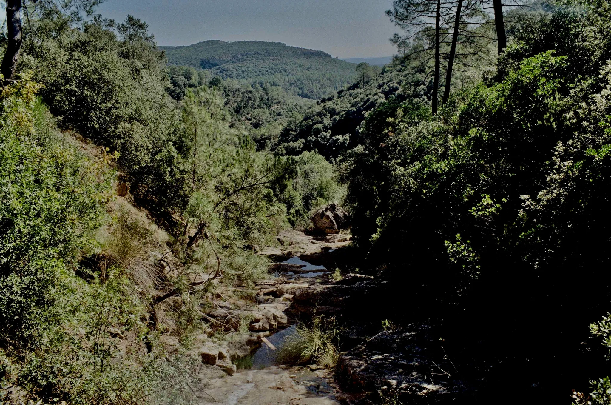 Les combats contre les pollutions invisibles dans les Cévennes