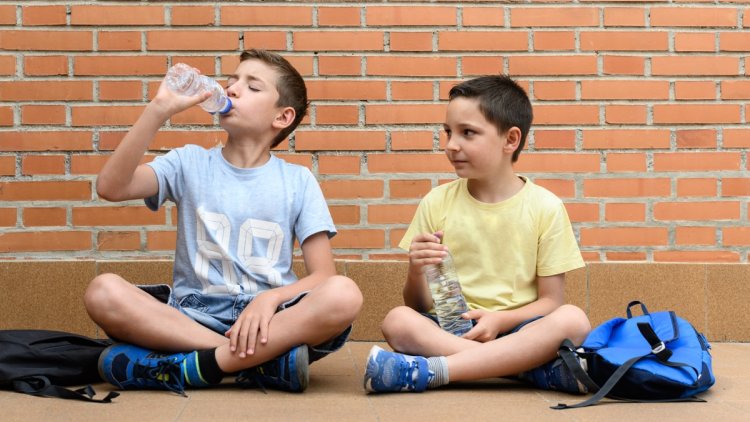 Mesures contre la canicule à Paris : Climatisation et ouverture des espaces verts