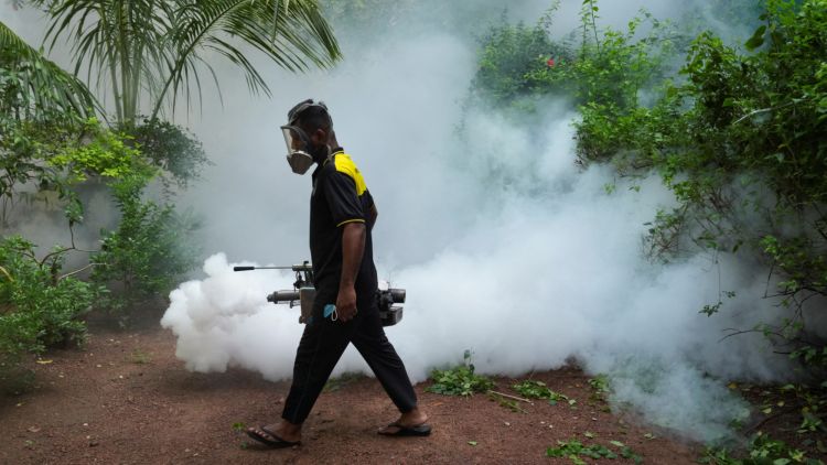 Lutte contre la dengue au Sri Lanka : une mobilisation inédite