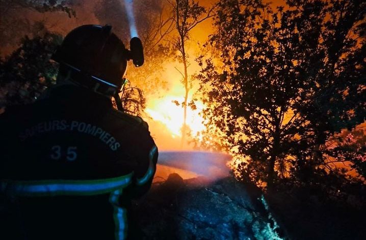 Incendie à l&rsquo;Ile aux Pies : un site naturel menacé