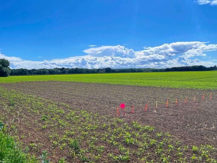 L&rsquo;agriculture face au réchauffement climatique