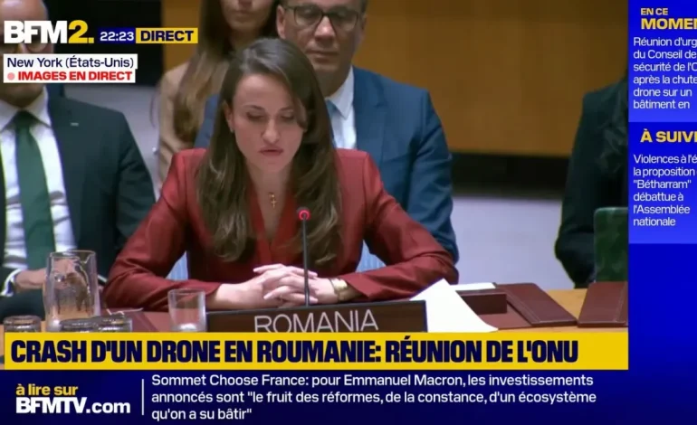 Oana-Silvia Țoiu s&rsquo;exprime lors d&rsquo;une réunion d&rsquo;urgence de l&rsquo;ONU