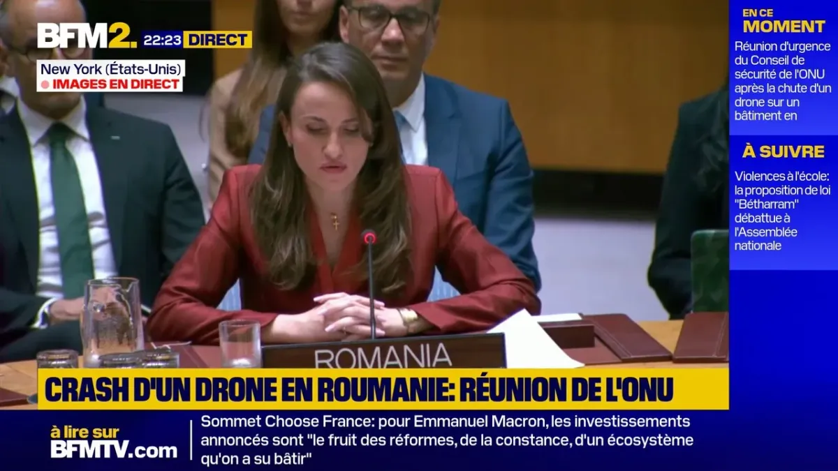 Oana-Silvia Țoiu s&rsquo;exprime lors d&rsquo;une réunion d&rsquo;urgence de l&rsquo;ONU