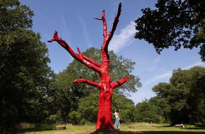 Les conséquences de la canicule en France et ailleurs
