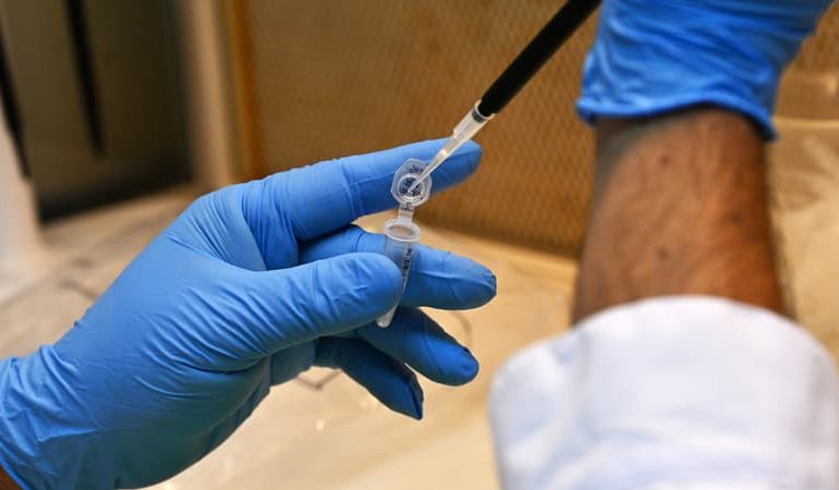 La grippe aviaire H5 atteint l&rsquo;Australie : situation actuelle