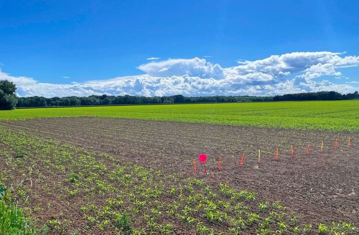 L&rsquo;adaptation de l&rsquo;agriculture face au changement climatique à la ferme de Grignon
