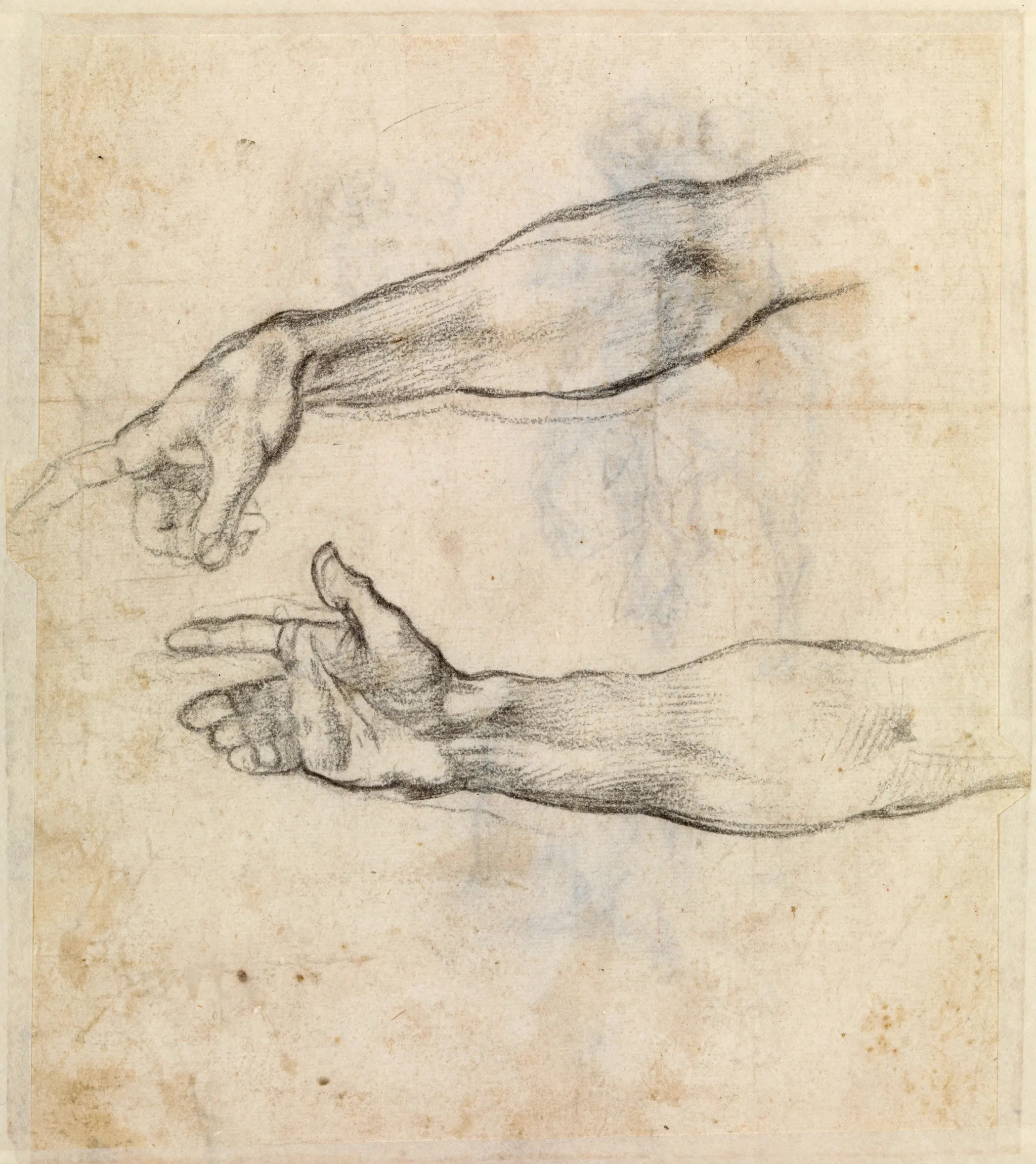 Les chimpanzés et leur expression artistique
