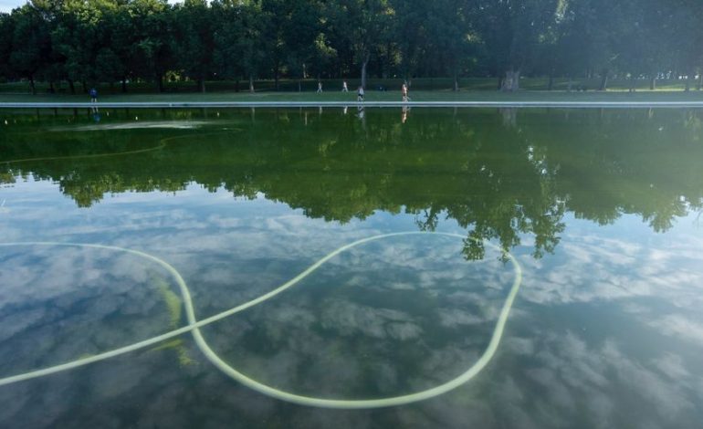 Les complications du bassin du Lincoln Memorial : peintures, algues et vandalisme
