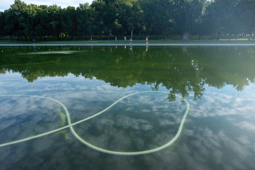 Les complications du bassin du Lincoln Memorial : peintures, algues et vandalisme