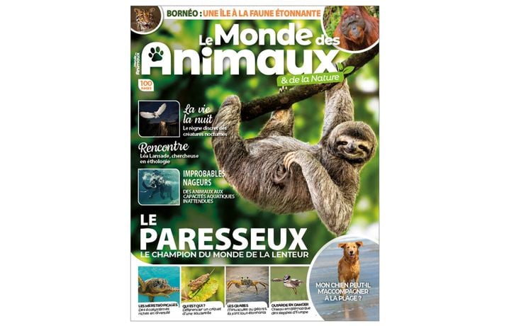 Les créatures de l&rsquo;obscurité abyssale