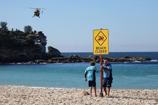 Les attaques de requins en Nouvelle-Galles du Sud : dilemmes et réflexions