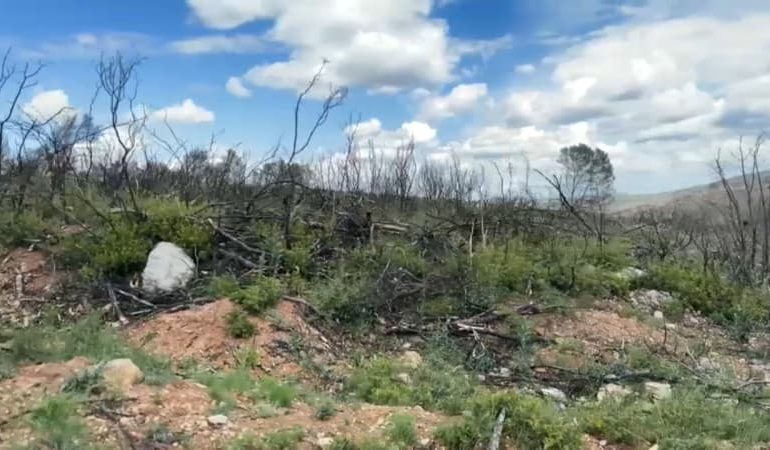 Le massif des Corbières : l&rsquo;incendie et ses conséquences