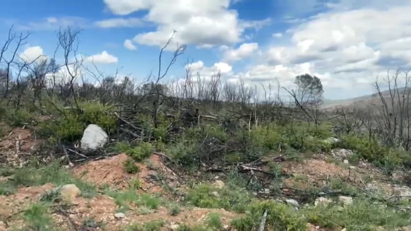Le massif des Corbières : l&rsquo;incendie et ses conséquences