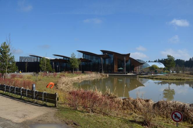 Le groupe Pierre et Vacances-Center Parcs passe sous pavillon émirati