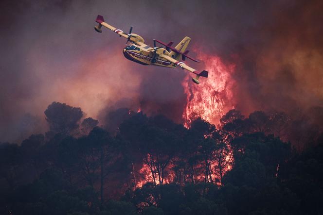 Disponibilité Limitée des Canadair en France Face aux Incendies