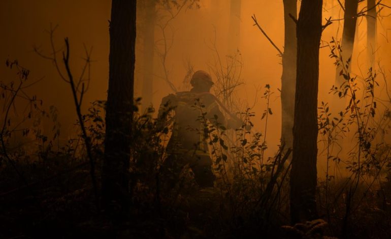 Incendies en France : Bilan et gestion