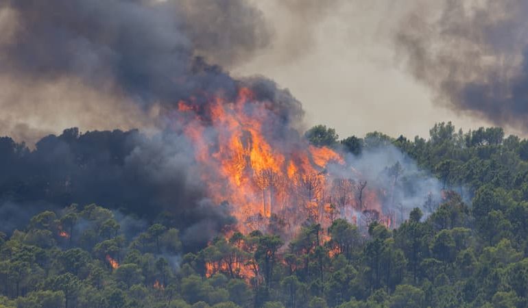 Incendie en cours dans le Var : situation en voie de stabilisation