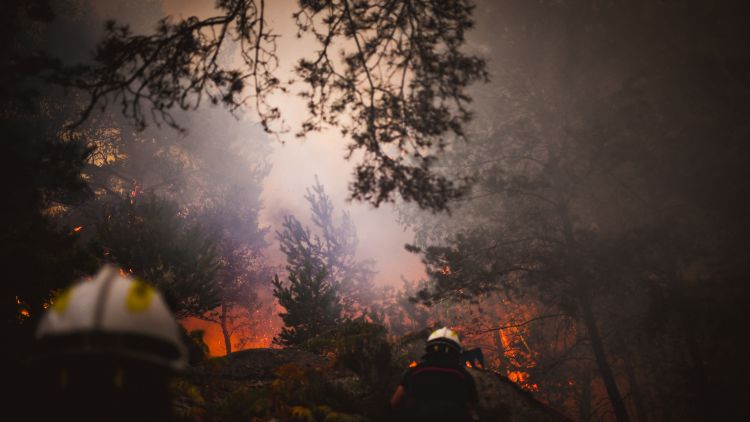 Demande de détention pour deux suspects impliqués dans les incendies