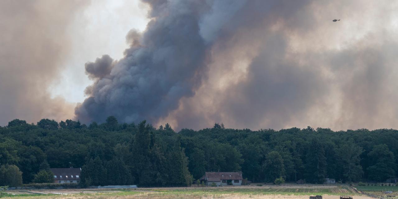 Incendies en Ile-de-France : une lutte acharnée contre les flammes