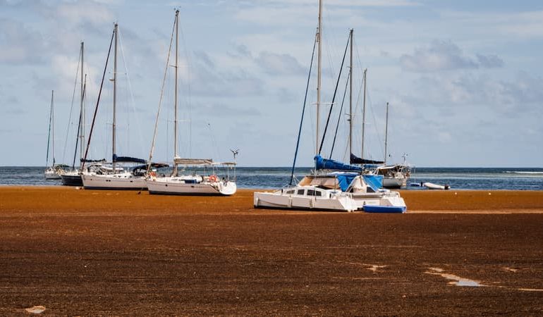 Crise de l&rsquo;eau en Guadeloupe : Défis et Enjeux