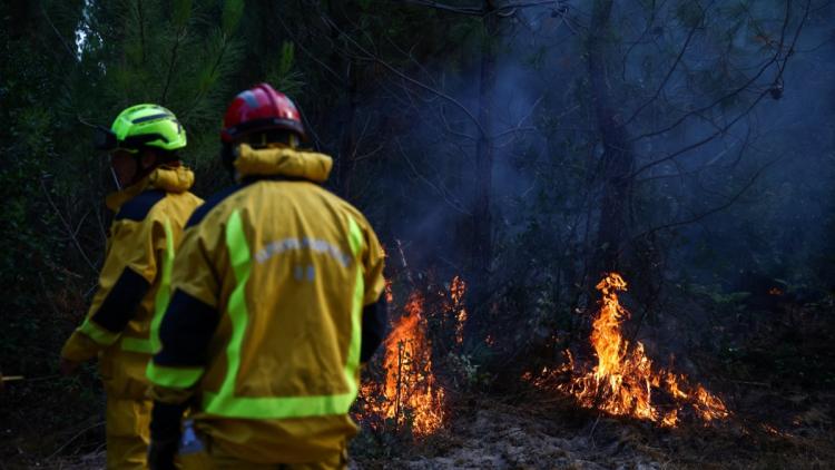 Conséquences et Dangers du Tourisme des Incendies en Gironde