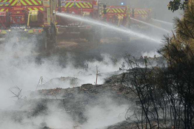 Les Risques des Feux de Forêt sur les Sites Industriels