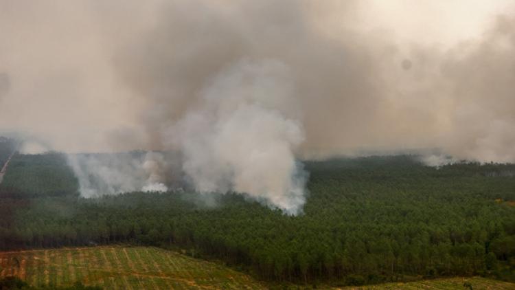 Interpellations liées aux incendies en Gironde