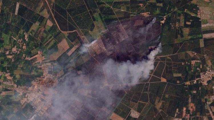 Incendies en Gironde : Bilan et Mesures