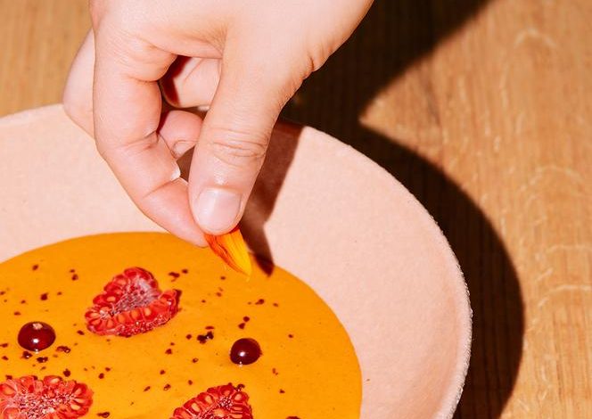 Délices de Cheffes: Recettes Inspirées de Poivrons