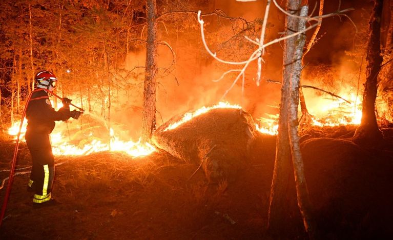 Incendies de la forêt de Fontainebleau : Deux suspects identifiés