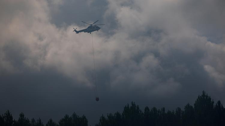 Les Émissions de Carbone Liées aux Incendies en France Atteignent un Record en 2026