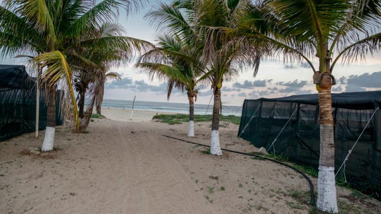 Alerte Tsunami après Séisme au Mexique