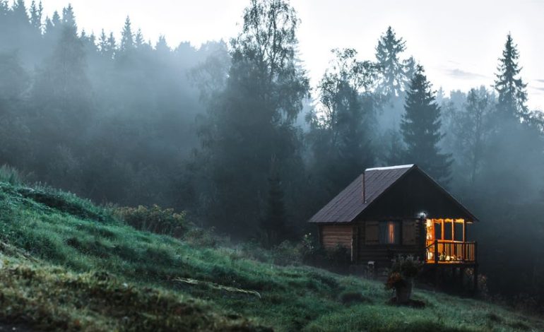 Une exploration captivante de la résilience dans « Dans la forêt » de Jean Hegland