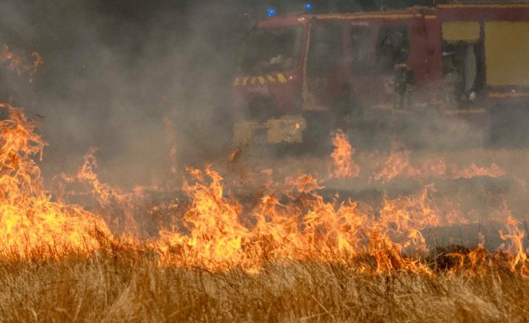 Des incendies ravageurs maîtrisés de justesse en Gironde