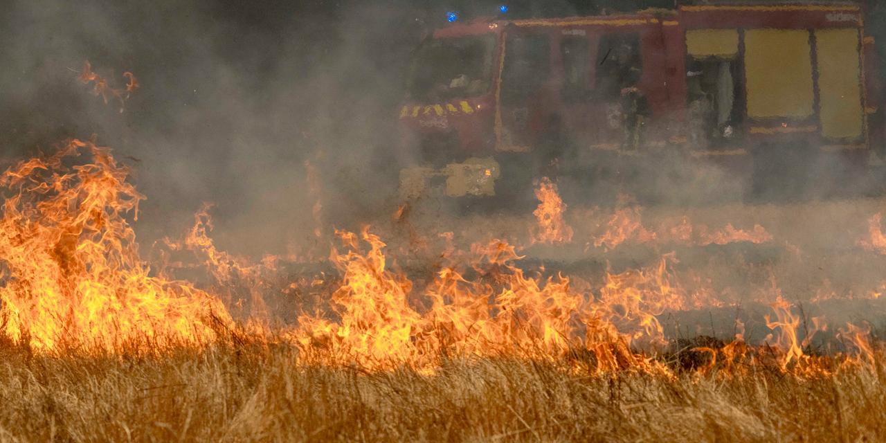 Des incendies ravageurs maîtrisés de justesse en Gironde