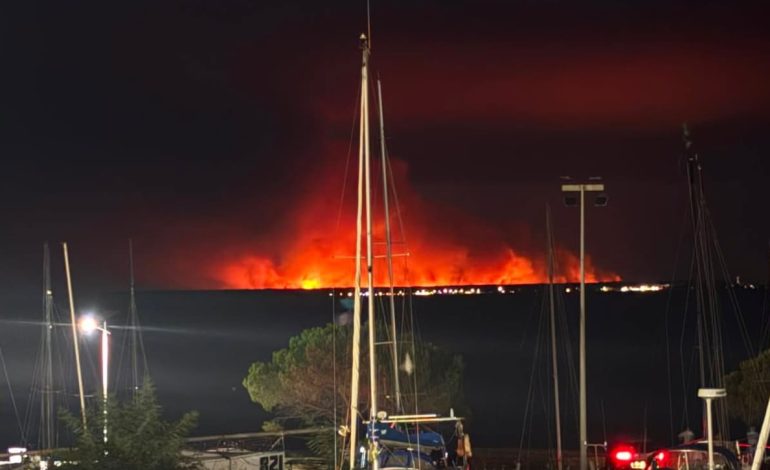 Incendies en France : Point sur la situation et les mesures prises
