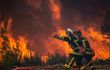 Les Incendies et la Canicule en France: Situation Actuelle