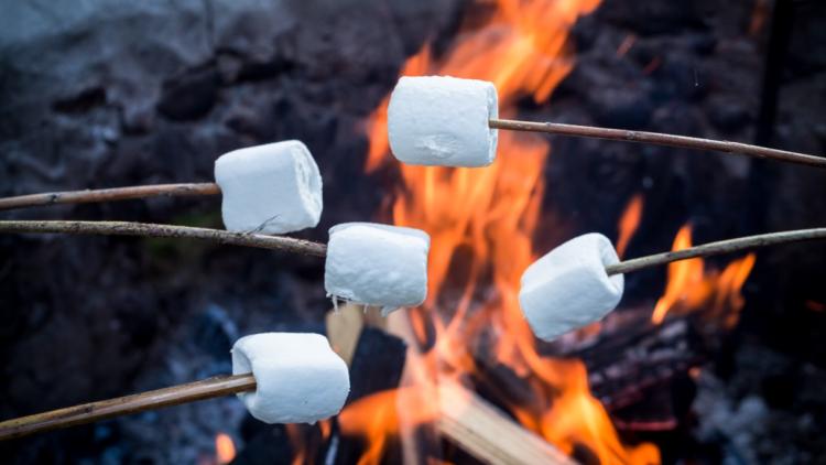 Une tragédie lors d&rsquo;un barbecue en Australie