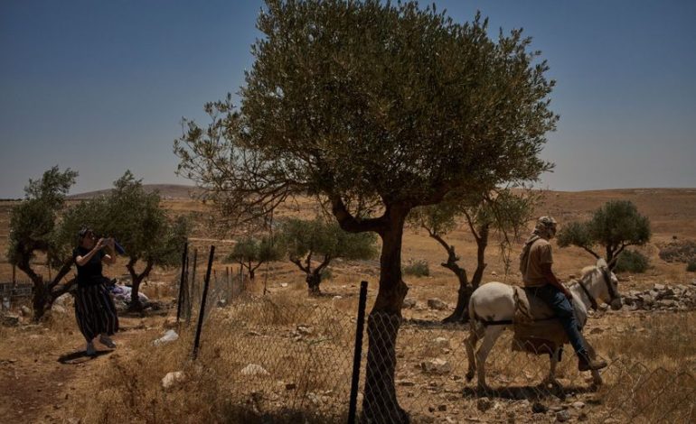 Taybeh, un village chrétien de Cisjordanie en péril